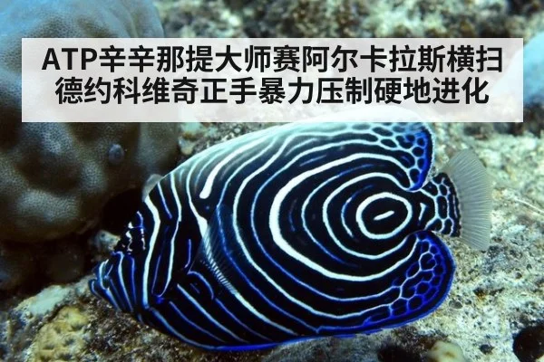 ATP辛辛那提大师赛阿尔卡拉斯横扫德约科维奇正手暴力压制硬地进化