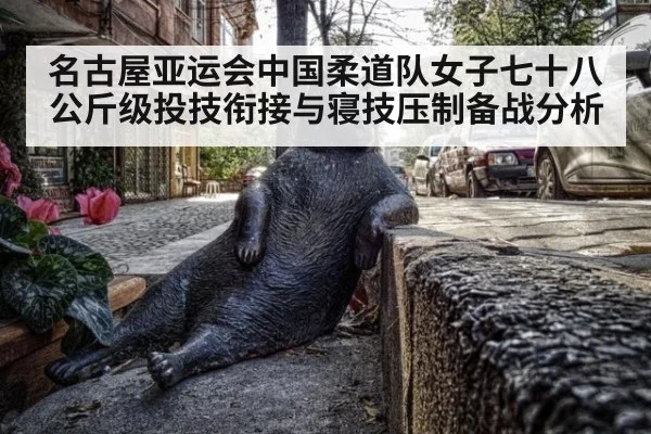 名古屋亚运会中国柔道队女子七十八公斤级投技衔接与寝技压制备战分析