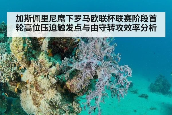 加斯佩里尼麾下罗马欧联杯联赛阶段首轮高位压迫触发点与由守转攻效率分析