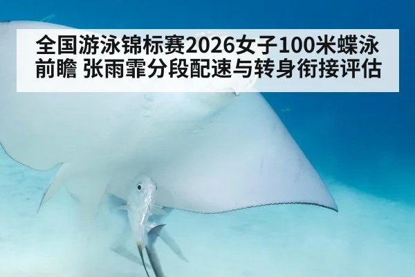 全国游泳锦标赛2026女子100米蝶泳前瞻 张雨霏分段配速与转身衔接评估